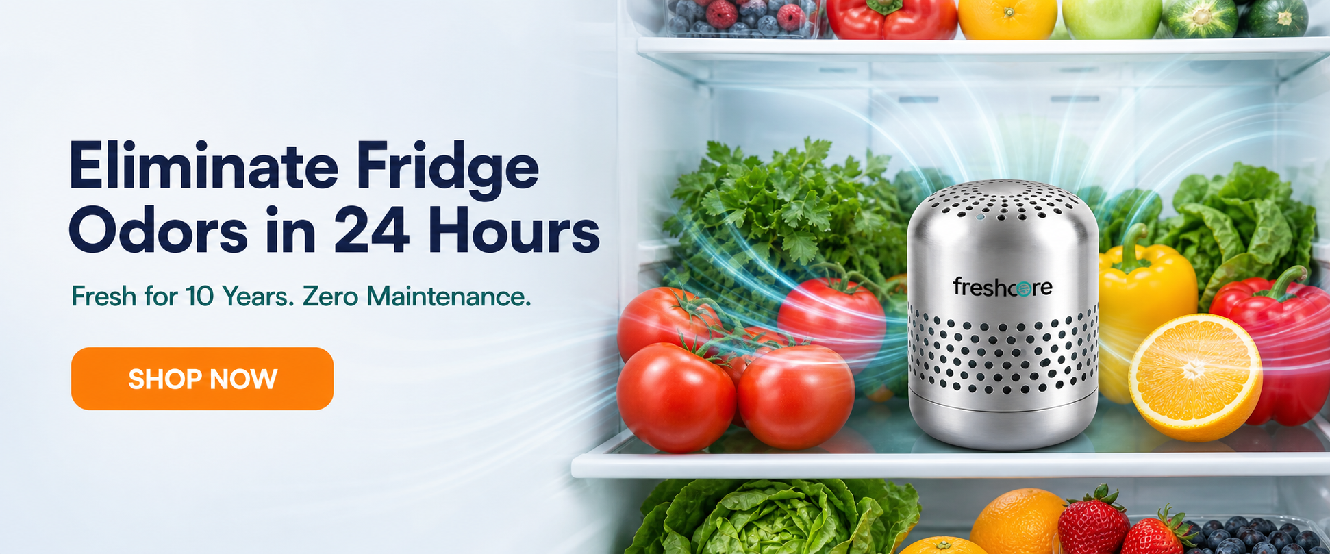 Eliminate Fridge Odors in 24 Hours — Fresh for 10 Years